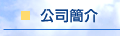 公司簡介