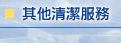 其他清潔服務