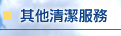 其他清潔服務