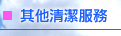 其他清潔服務